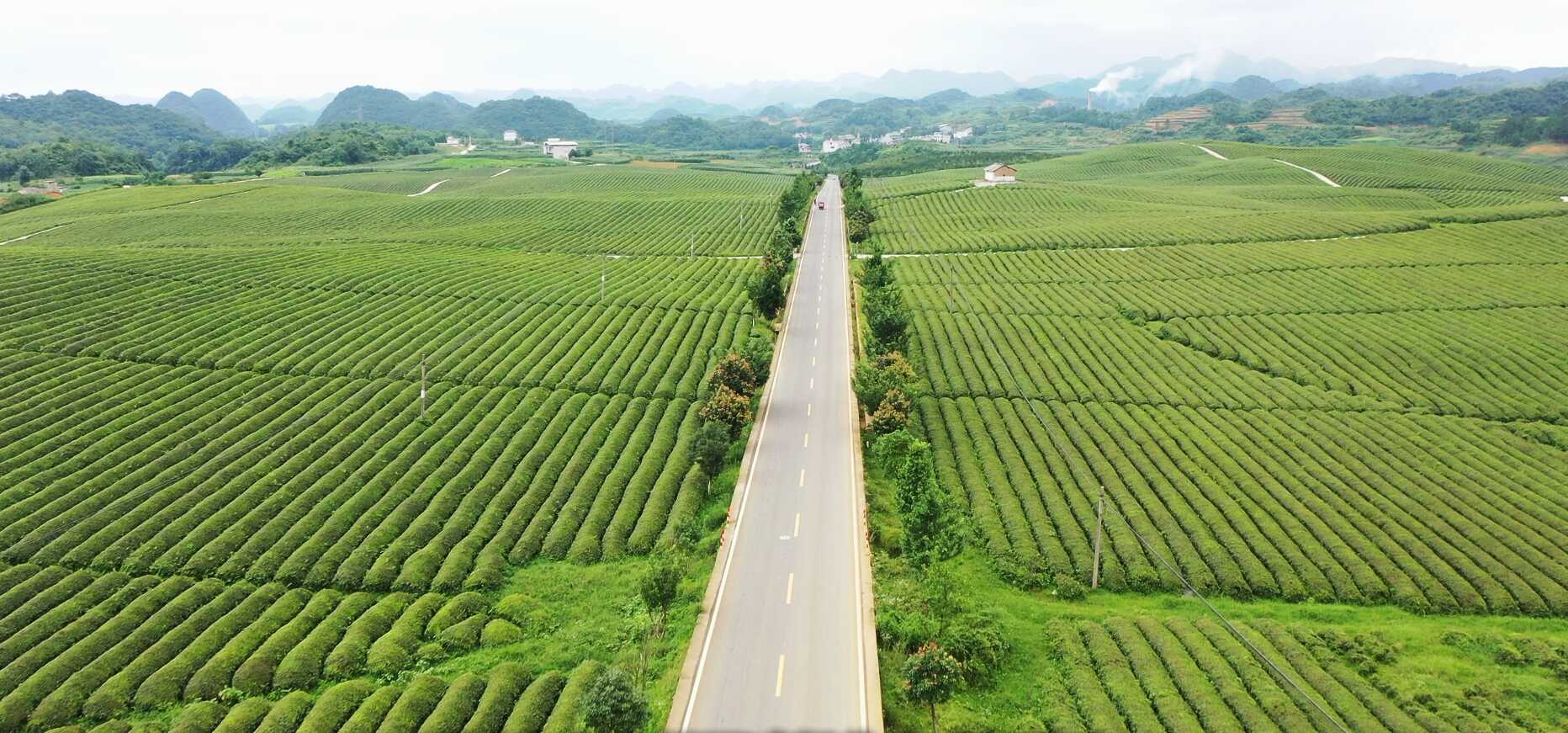 京马场至鸡场“四好农村路”中段 (1).png
