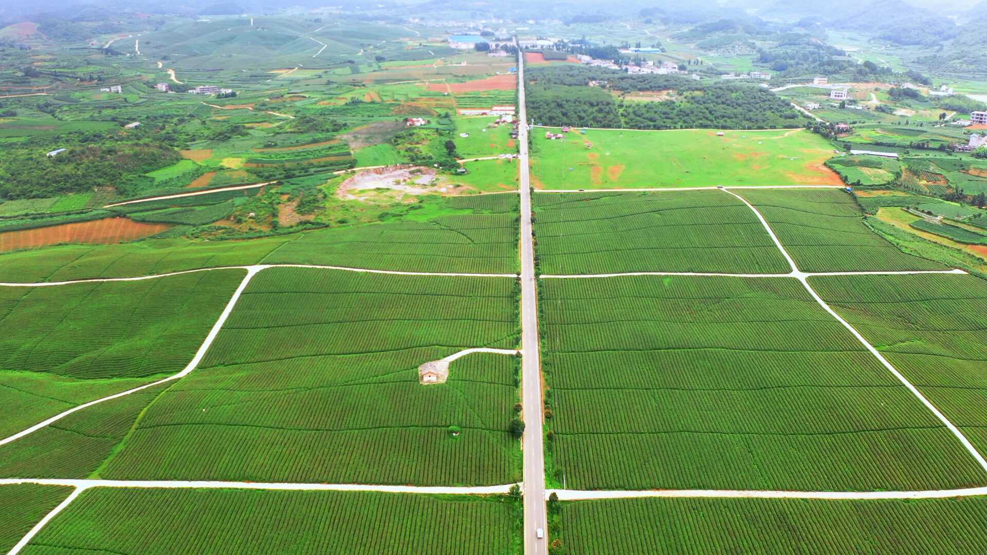 京马场至鸡场“四好农村路”中段 (2).png