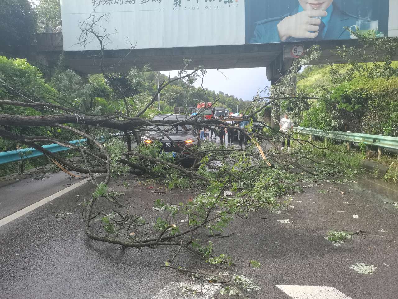事故现场.jpg